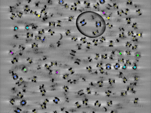 key visualization for seed100500942-20250907-203246