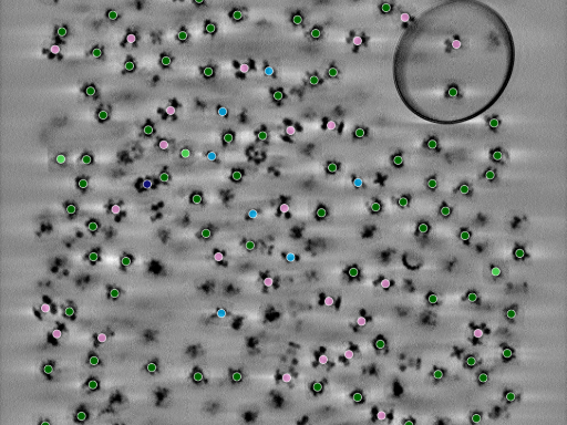 key visualization for seed1005019912-20250905-164801