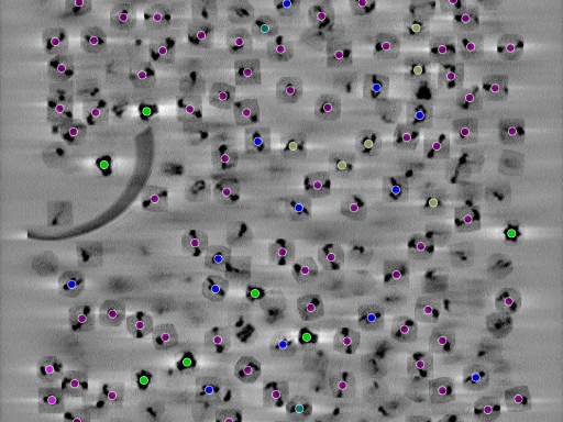 key visualization for seed1006295023-20250905-144626