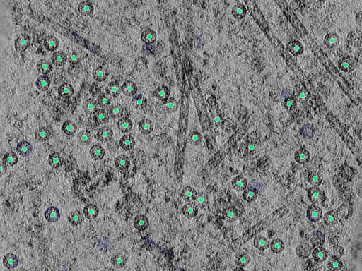 key visualization for 25aug25a_Position_1