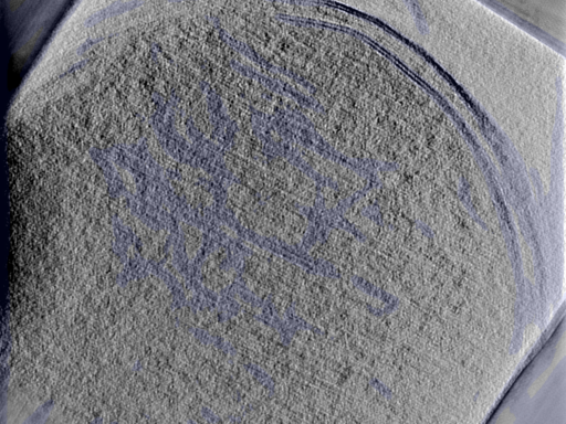 key visualization for 25aug25a_Position_103