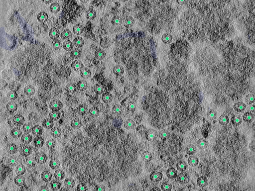 key visualization for 25aug25a_Position_103_2