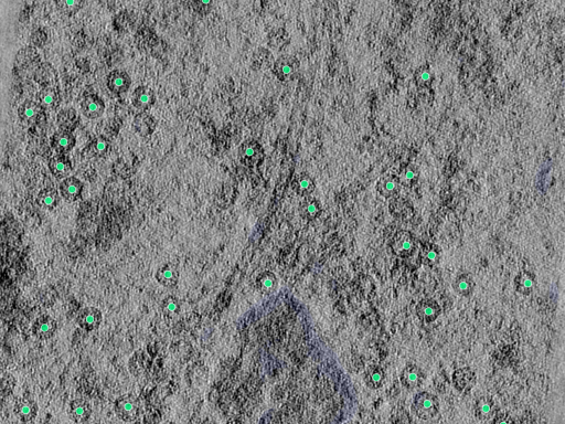 key visualization for 25aug25a_Position_103_3