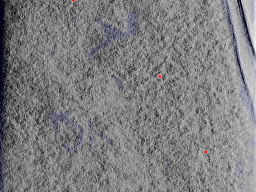 key visualization for 25aug25a_Position_104_2