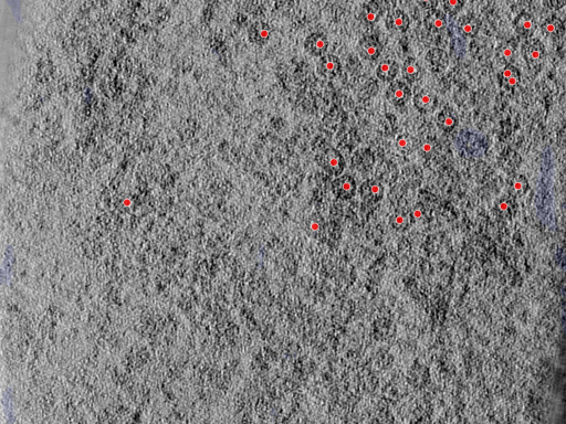 key visualization for 25aug25a_Position_104_4