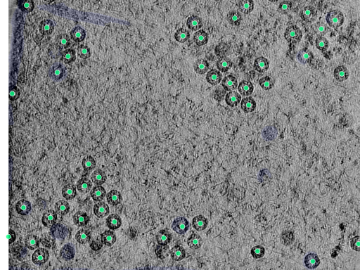 key visualization for 25aug25a_Position_105