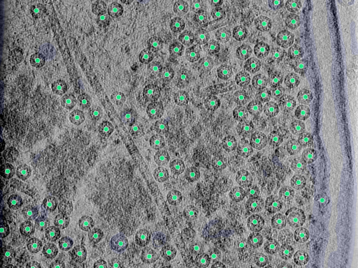 key visualization for 25aug25a_Position_97