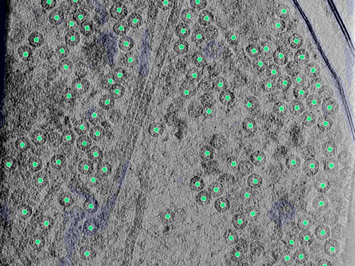 key visualization for 25aug25a_Position_9_2