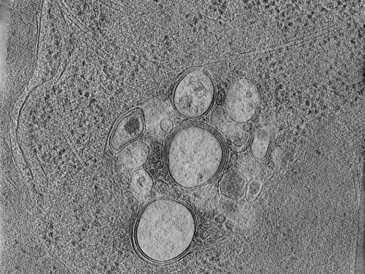 key visualization for 25jul29a_Position_4