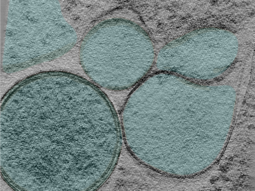 key visualization for 24apr03a_Position_100_10