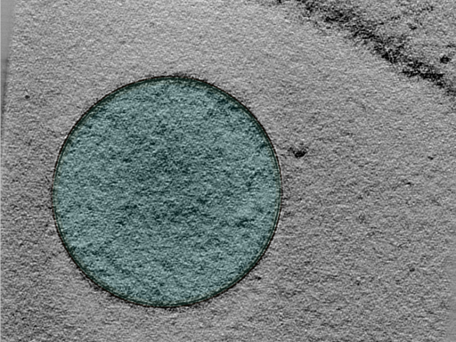 key visualization for 24apr03a_Position_100_3