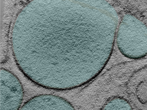 key visualization for 24apr03a_Position_100_7