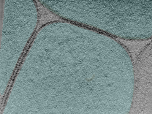 key visualization for 24apr03a_Position_100_8