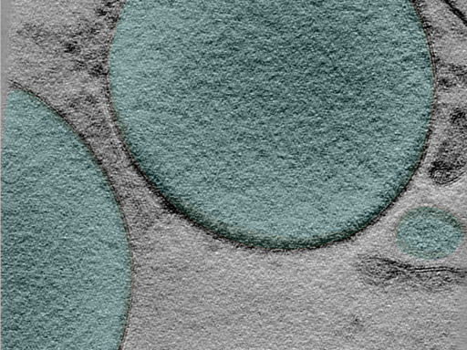 key visualization for 24apr03a_Position_101_4