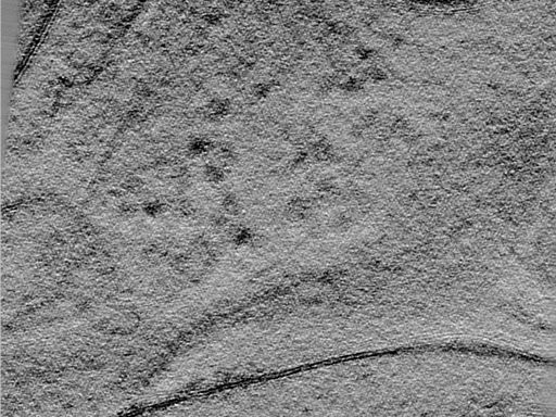 key visualization for 24apr03a_Position_102