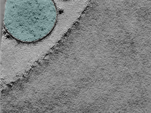 key visualization for 24apr03a_Position_10_2