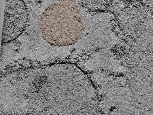 key visualization for 24jun17a_Position_10_5