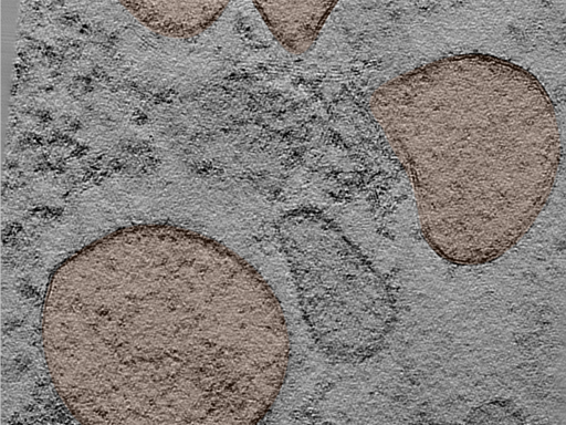 key visualization for 24jun17a_Position_11_5