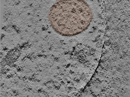 key visualization for 24jun17a_Position_12_2