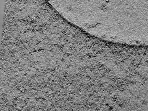 key visualization for 24jun18a_Position_10_4