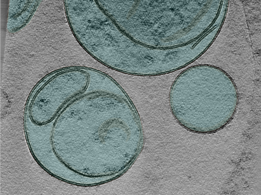 key visualization for 24jun18a_Position_11_11