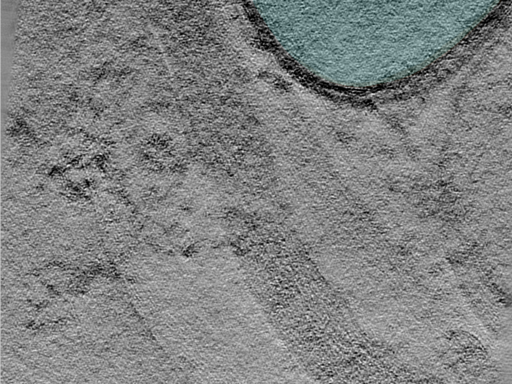 key visualization for 24jun18a_Position_11_13