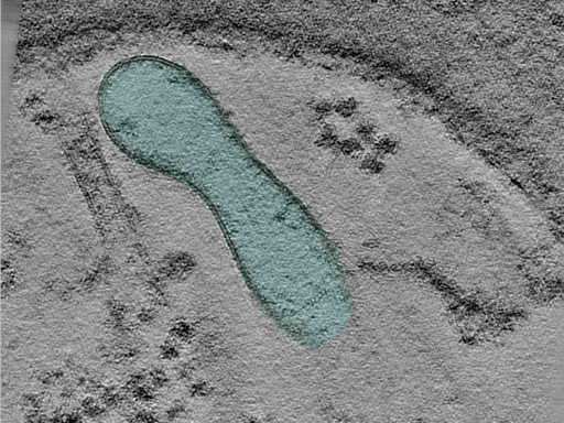 key visualization for 24jun18a_Position_11_4