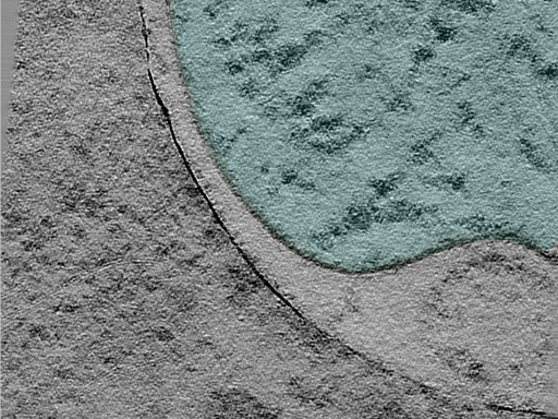 key visualization for 24jun18a_Position_11_7