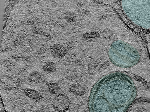 key visualization for 24jun18a_Position_12