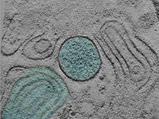 key visualization for 24aug07a_Position_11