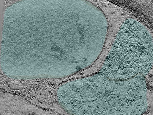 key visualization for 24aug07a_Position_13_3