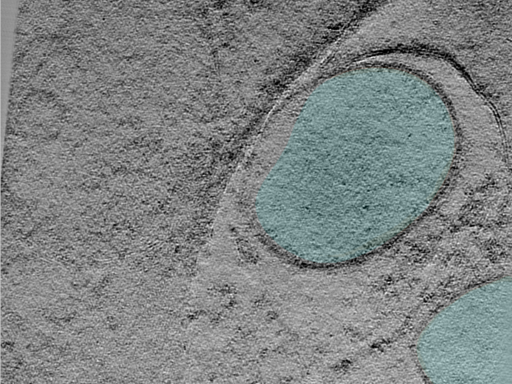 key visualization for 24aug07a_Position_14_2