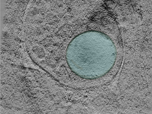 key visualization for 24aug30a_Position_10