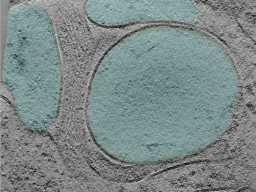 key visualization for 24aug30a_Position_100