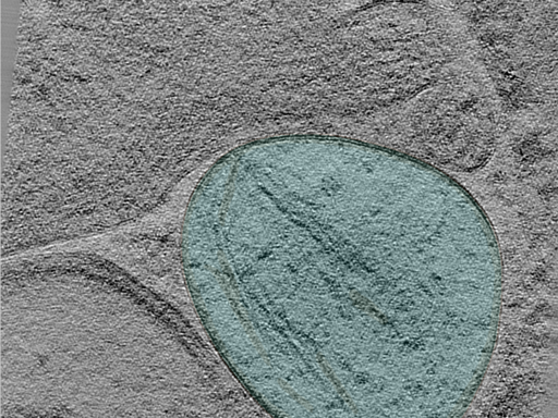 key visualization for 24aug30a_Position_100_5