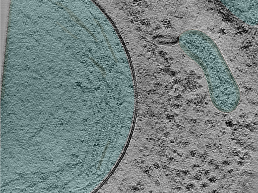 key visualization for 24aug30a_Position_101_2