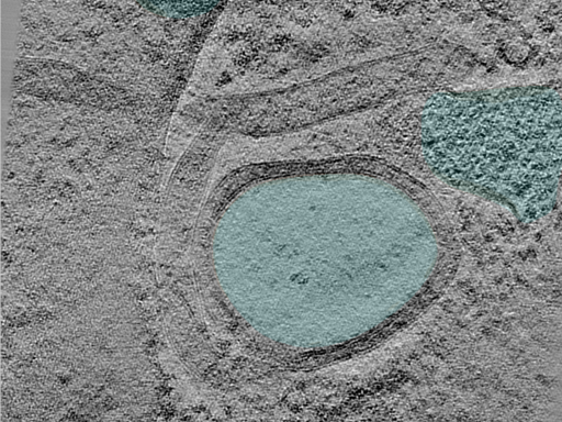 key visualization for 24aug30a_Position_101_4