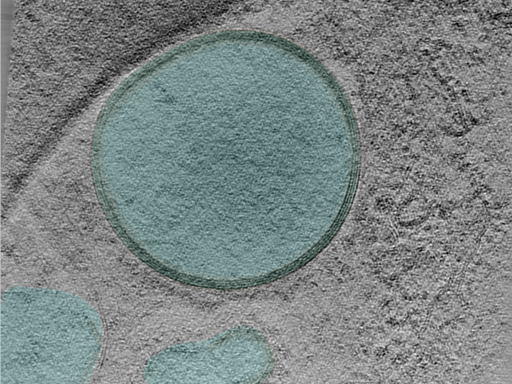 key visualization for 24aug30a_Position_102