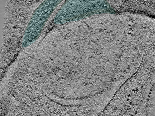 key visualization for 24aug30a_Position_103_2