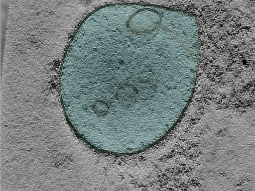 key visualization for 24oct03c_Position_101