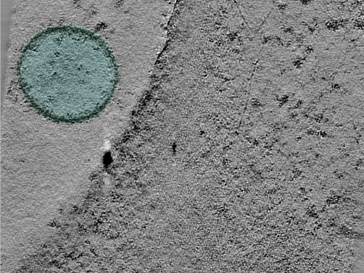 key visualization for 24oct03c_Position_101_4