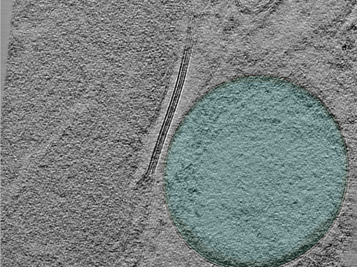 key visualization for 24oct03c_Position_101_6