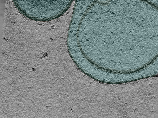 key visualization for 24oct03c_Position_101_9