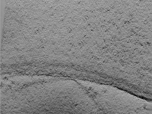 key visualization for 24oct03c_Position_102_7