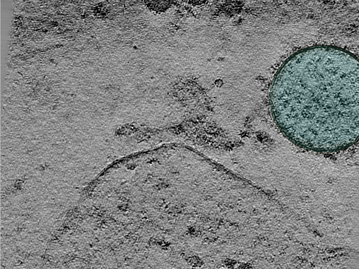 key visualization for 24oct03c_Position_103_7