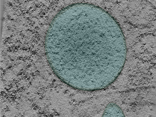 key visualization for 24oct03c_Position_104