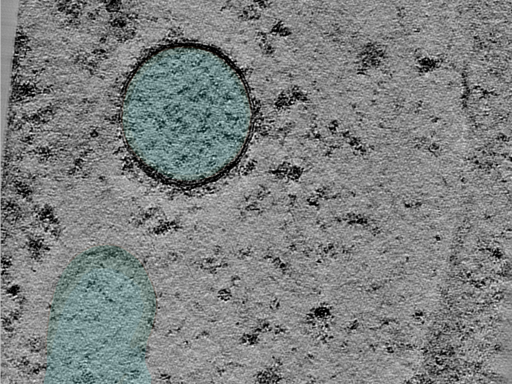 key visualization for 25jan16a_Position_100_4