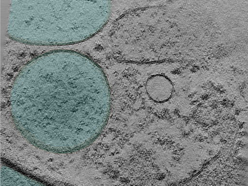 key visualization for 25jan16a_Position_100_5