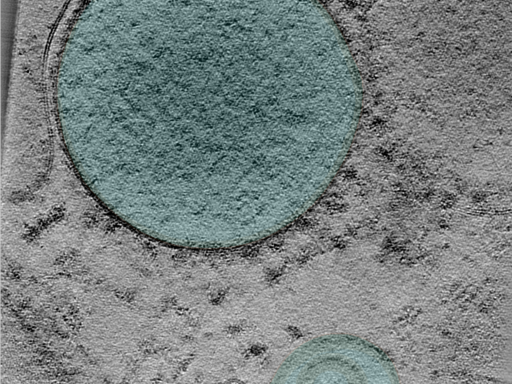 key visualization for 25jan16a_Position_101_4