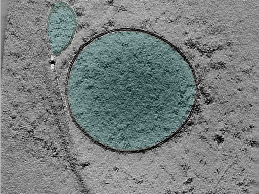 key visualization for 25jan16a_Position_103